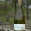 Pinot Blanc